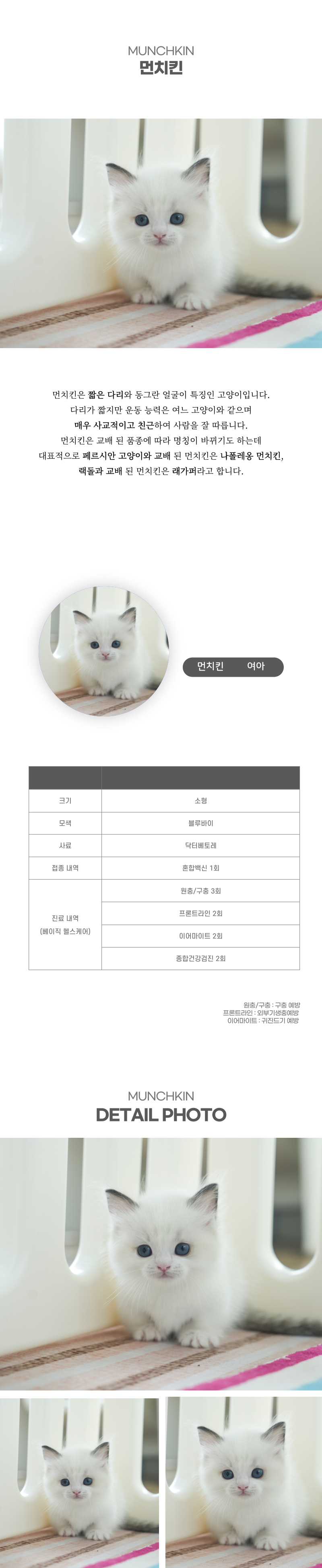 먼치킨_상세이미지_2